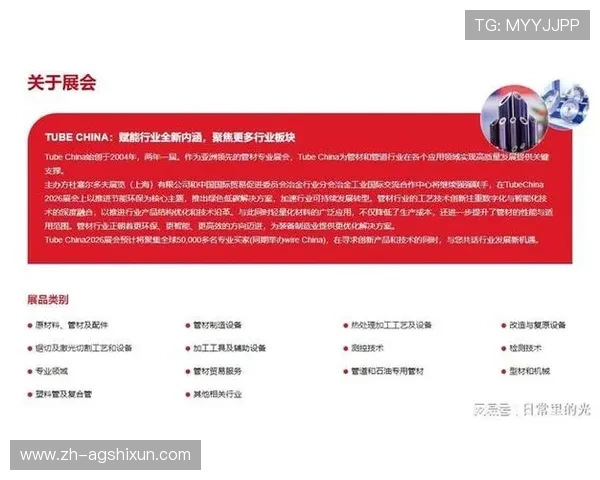 详解ag永乐国际f66平台的合作伙伴与行业背景，增强您的信任感